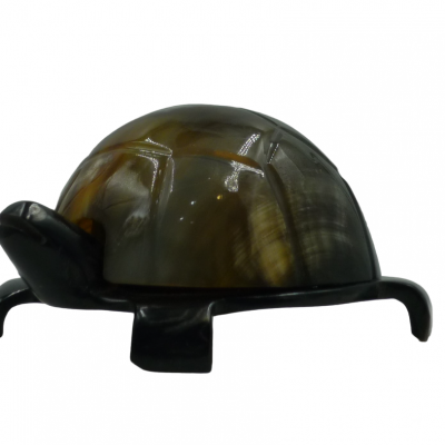 Turtle jewelry holder