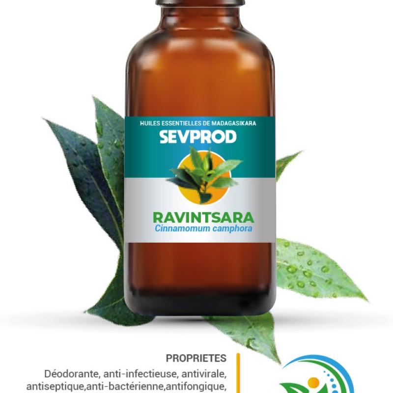 Ravintsara essential oil