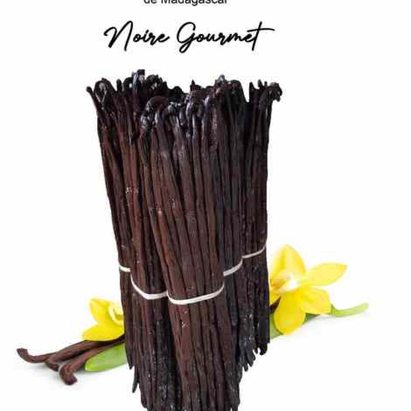 Gourmet Black Vanilla