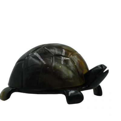 Turtle jewelry holder