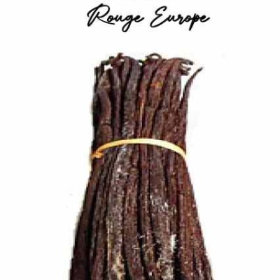 Vanille Bourbon de Madagascar Rouge Europe