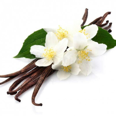 Vanilla Cuts 25g to 1kg- Fragrant and Versatile Vanilla Bean Pieces