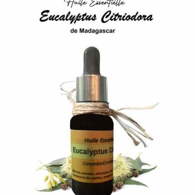 Essential oil Eucalyptus Citriodora