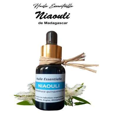 Essential oil of Niaouli